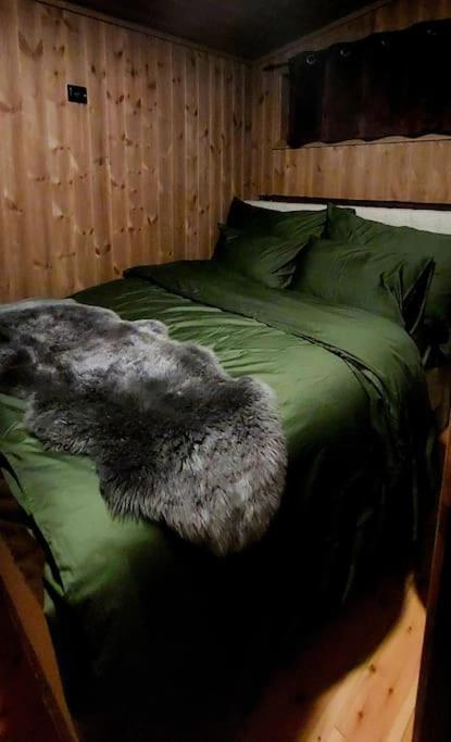 Cabin Aurora Borealis Sommaroy Esterno foto